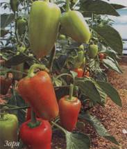 Лее ранний посев Лее ранний посев
