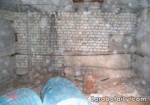 Выращивание зеленого лука в гараже и подвале выращивание зеленого лука в гараже и подвале