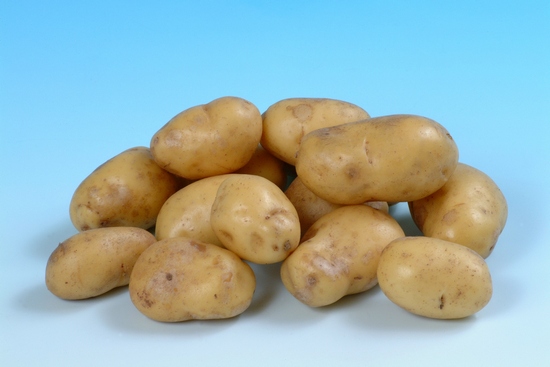 урожайность картофеля